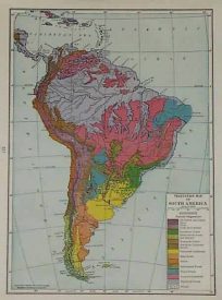 Vegetation Map South America