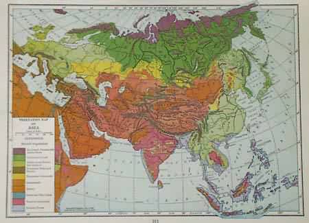 Vegetation Map of Asia