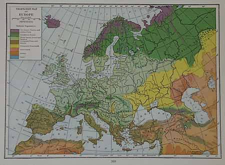 Vegetation Map of Europe