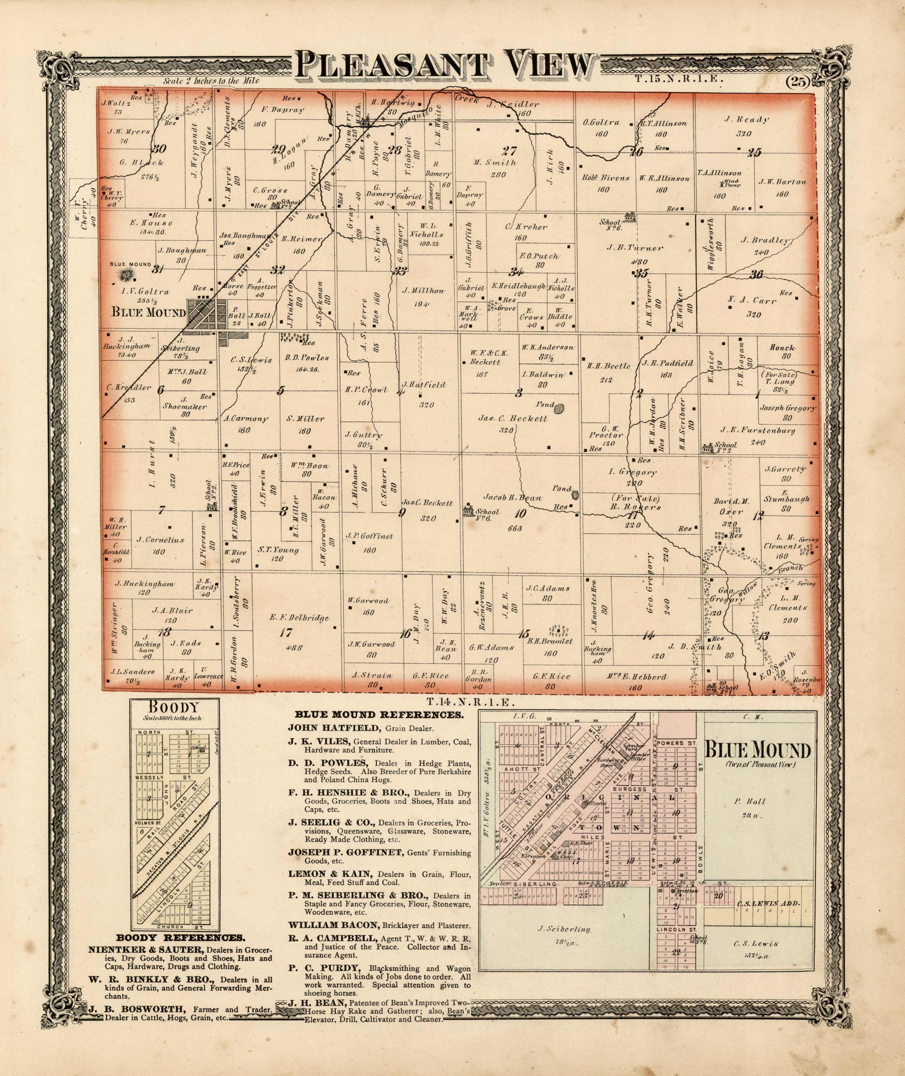 Pleasant View Township