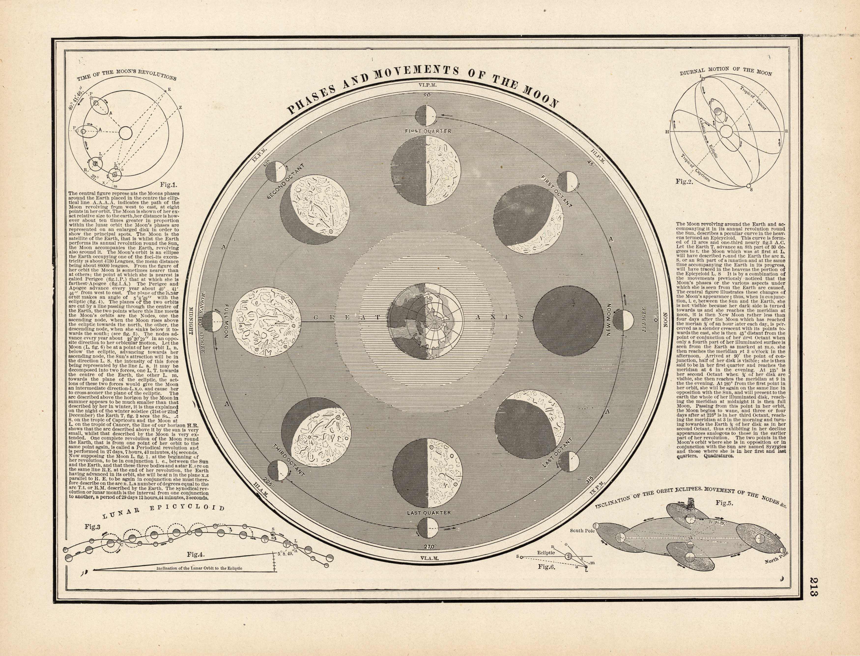 Phases and Movements of the Moon Phases and Movements of the Moon
