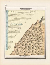 Comparative Length in Miles of the Principle Rivers of the World