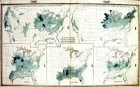 Agricultural Production Colored By Grades to Show Quantity Raised in Localities.