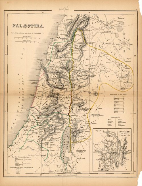 Palaestina (Palestine)