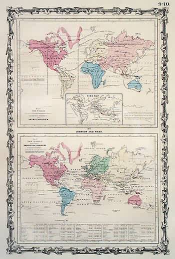 Map of the World Illustrating the Animal Kingdom and Productive Industry