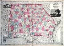 Johnsons Georgia and Alabama'