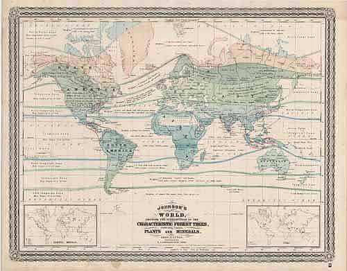 World Showing the Distribution of Characteristic Forest Trees, Plants ...