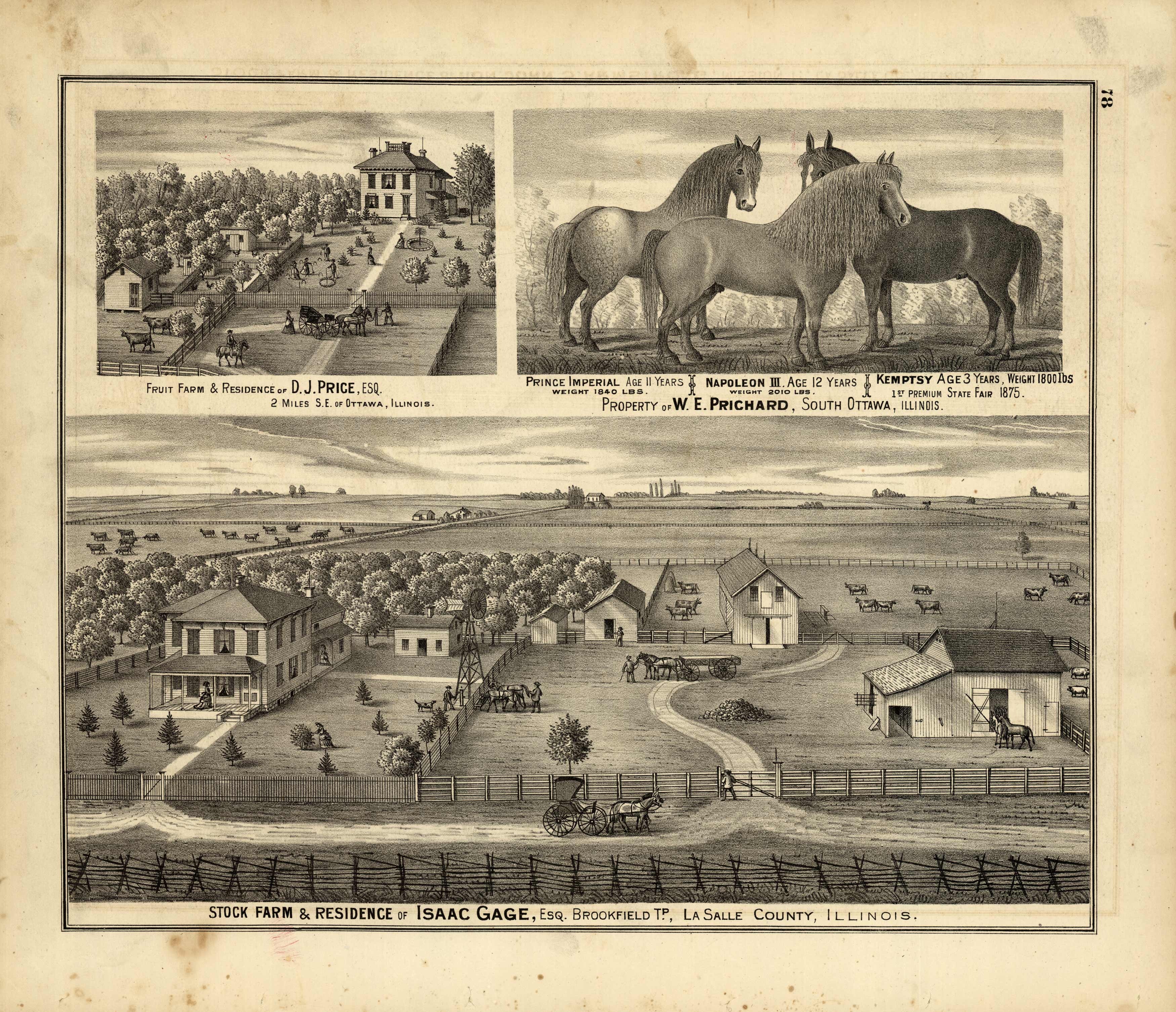 Stock Farm and Residence of Isaac Gage Stock Farm and Residence of Isaac Gage