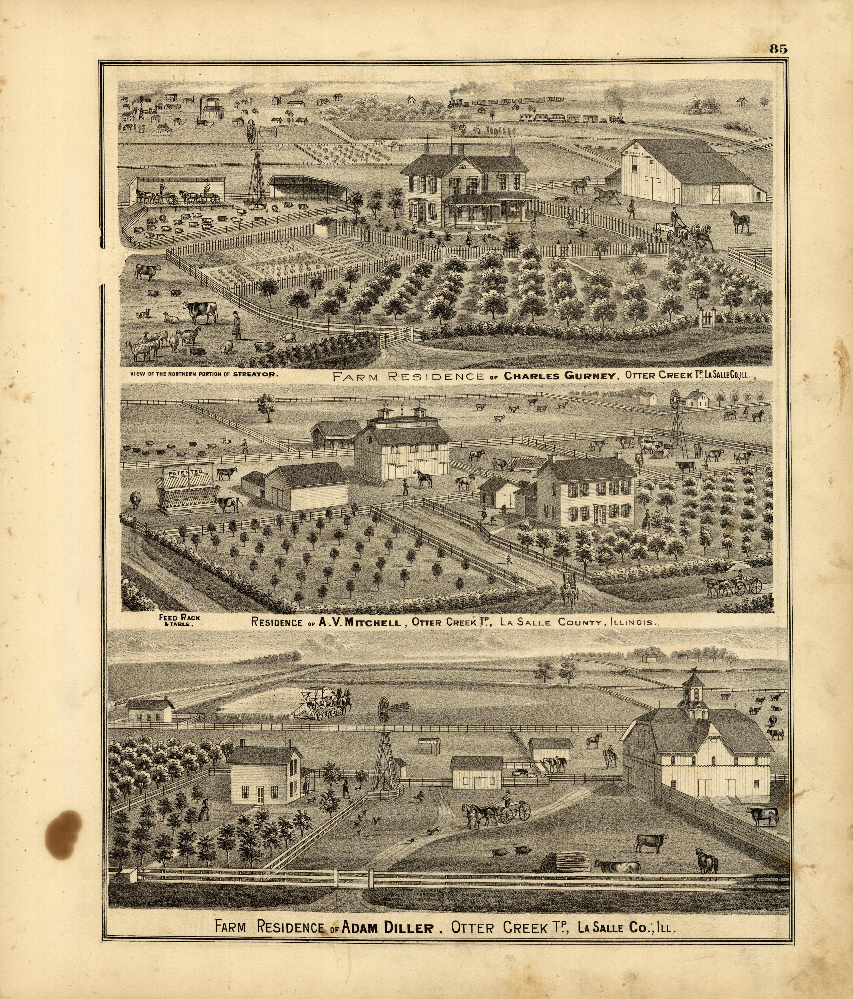 Farms and Residences of Charles Gurney, A.V. Mitchell, and Adam Diller ...