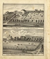 Stock Farms and Residences of Bowen Hill and James Richey