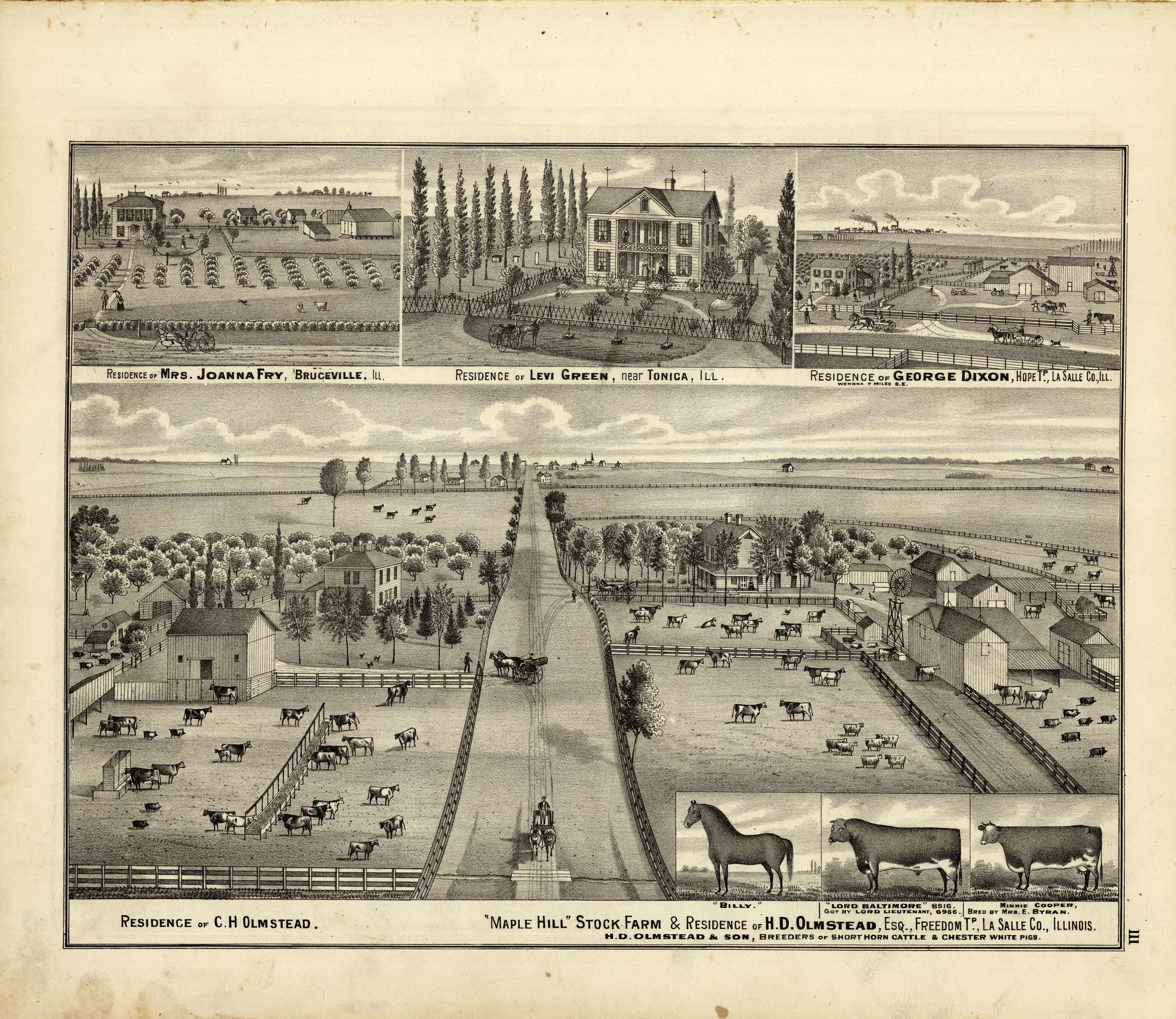Maple Hill Stock Farm and Residence of H.D. Olmstead / Residences of Mrs. Joanna Fry