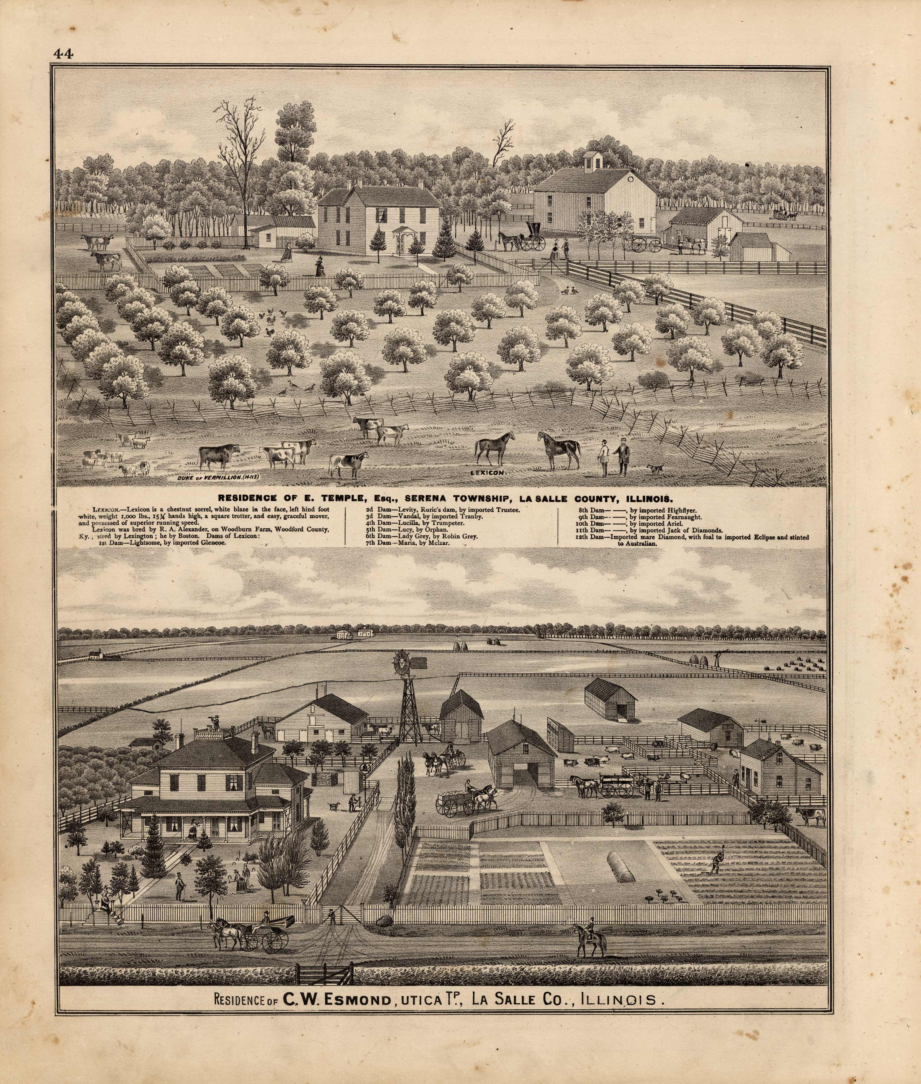 Residences of E. Temple and C.W. Esmond, Lasalle County, Illinois - Art ...