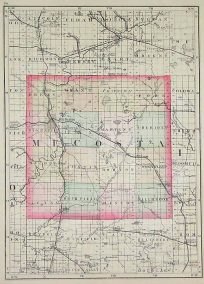 Mecosta County Michigan