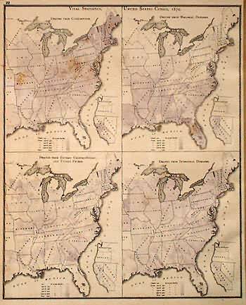 Census Maps- Vital Statistics - Art Source International