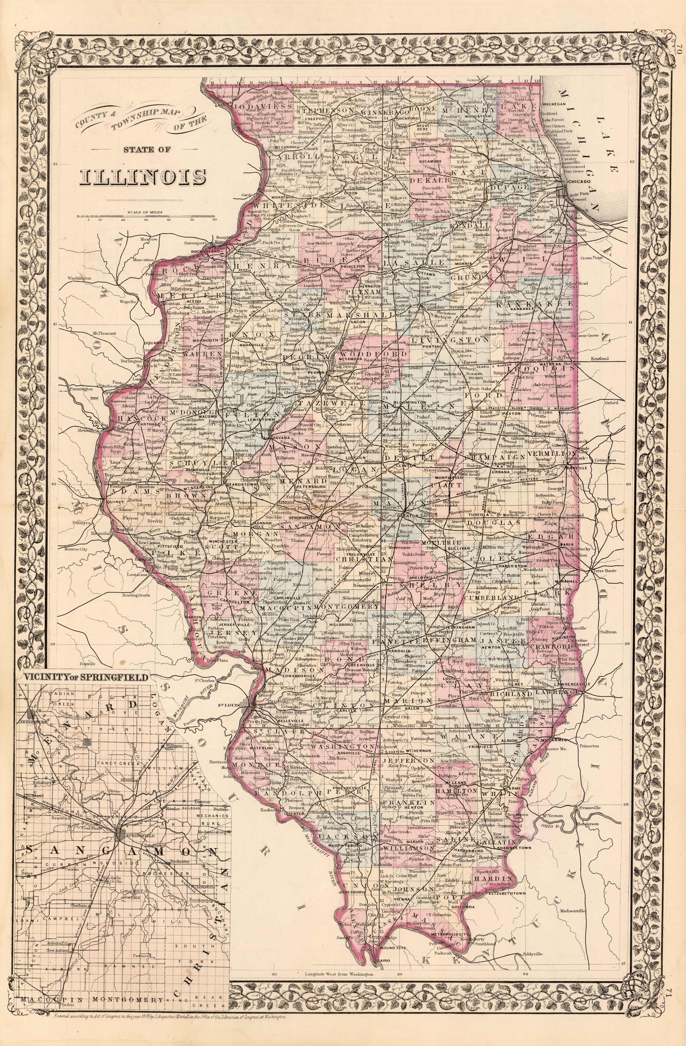 County Township Map of the State of Illinois Art Source International