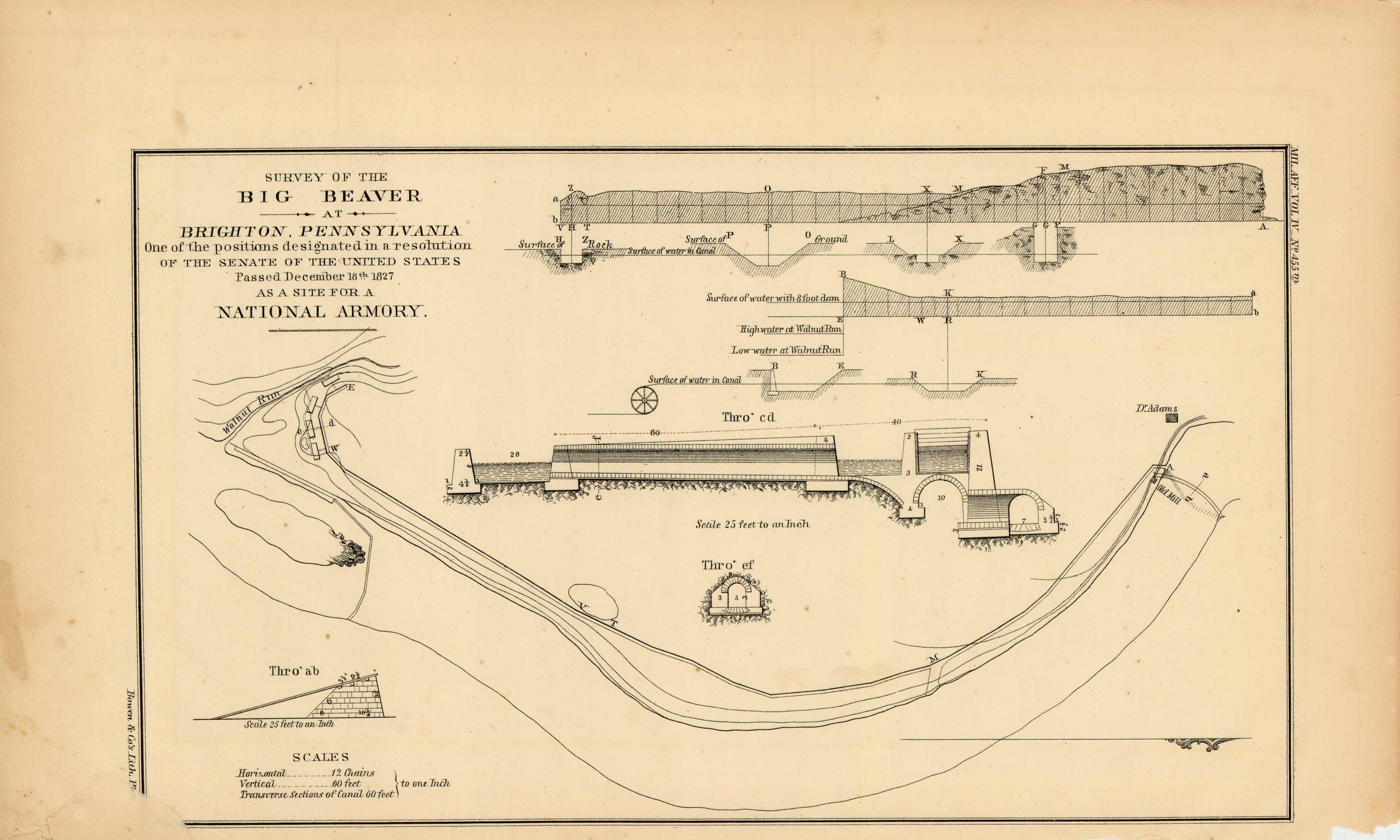 Survey of the Big Beaver at Brighton