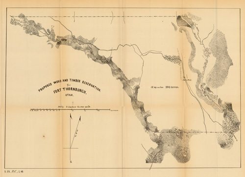 Proposed Wood & Timber Reservation. for Fort Thorn burgh