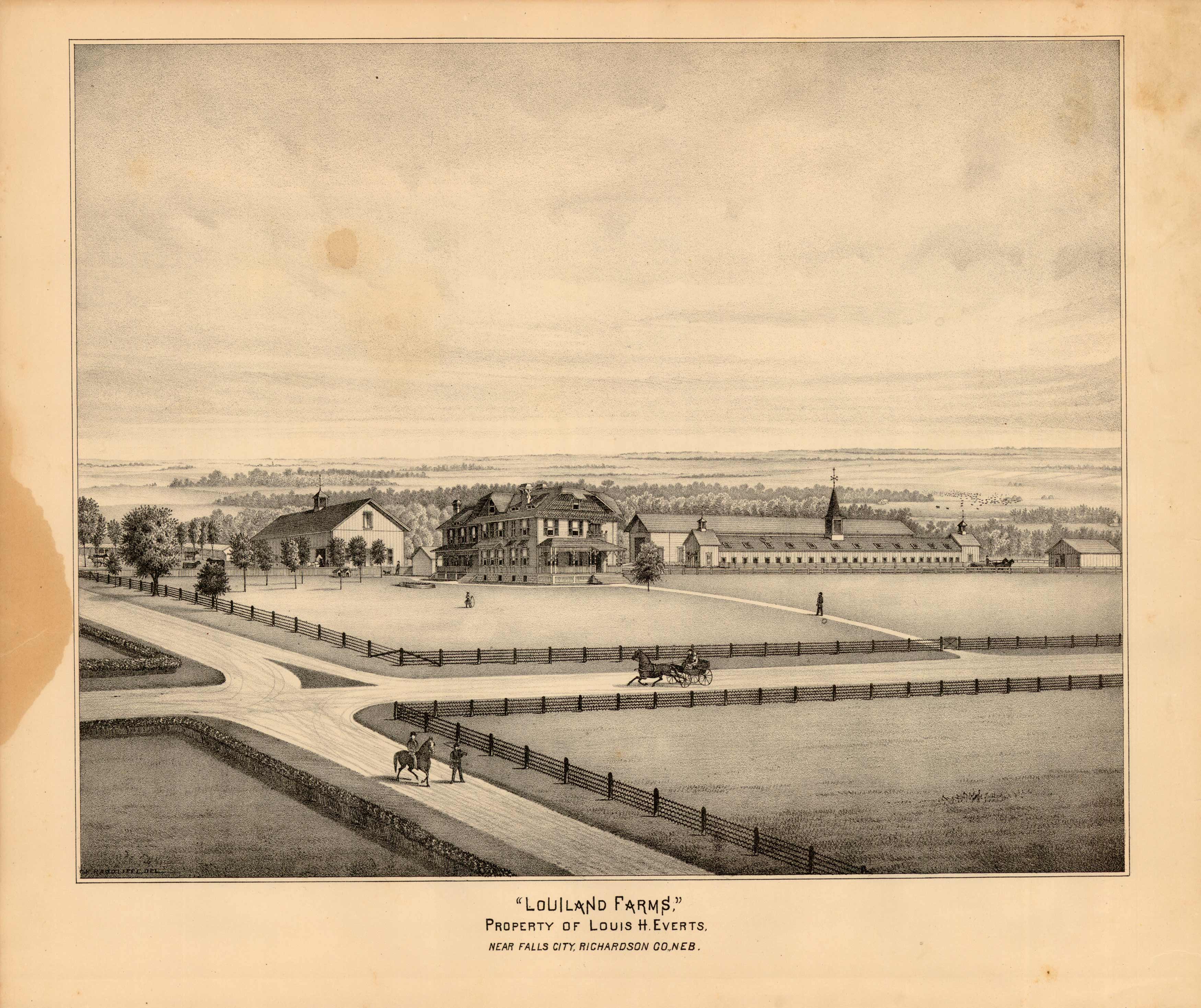 Louiland Farms Louiland Farms