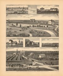 Pleasant View Stock Farm & Residence of Philip Unitt ; Walnut Grove Stock Farm & Residence of Levi Hafer