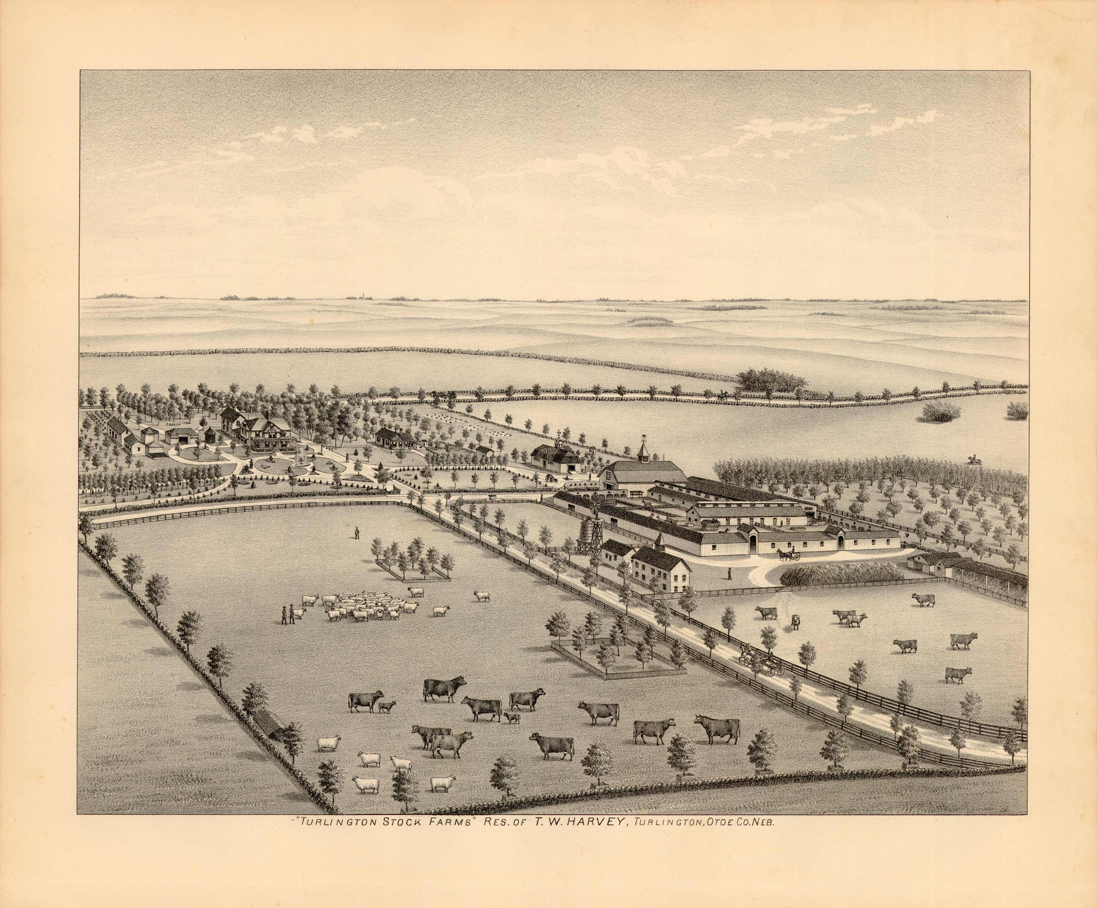 Turlington Stock Farms Res. of T.W.Harvey