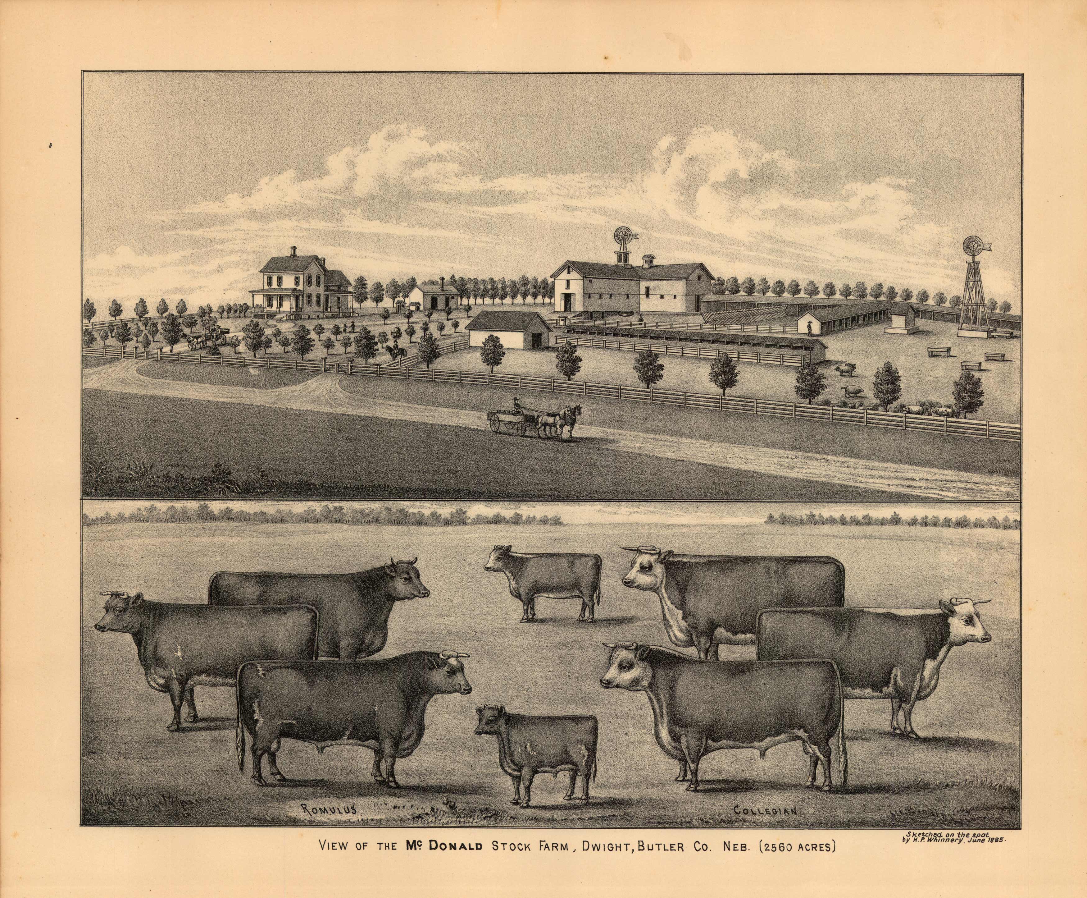 View of the McDonald Stock Farm, Dwight, Butler County, Nebraska Art