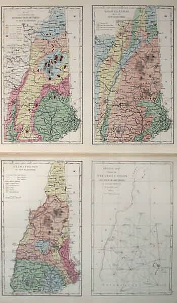 Map Illustrating the Distribution of Trees- Agricultural Map - Climatological Map - Sketch Showing Triangularation of New Hampshire