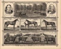 Oak Grove Breeding Farm of L.B. Sprague