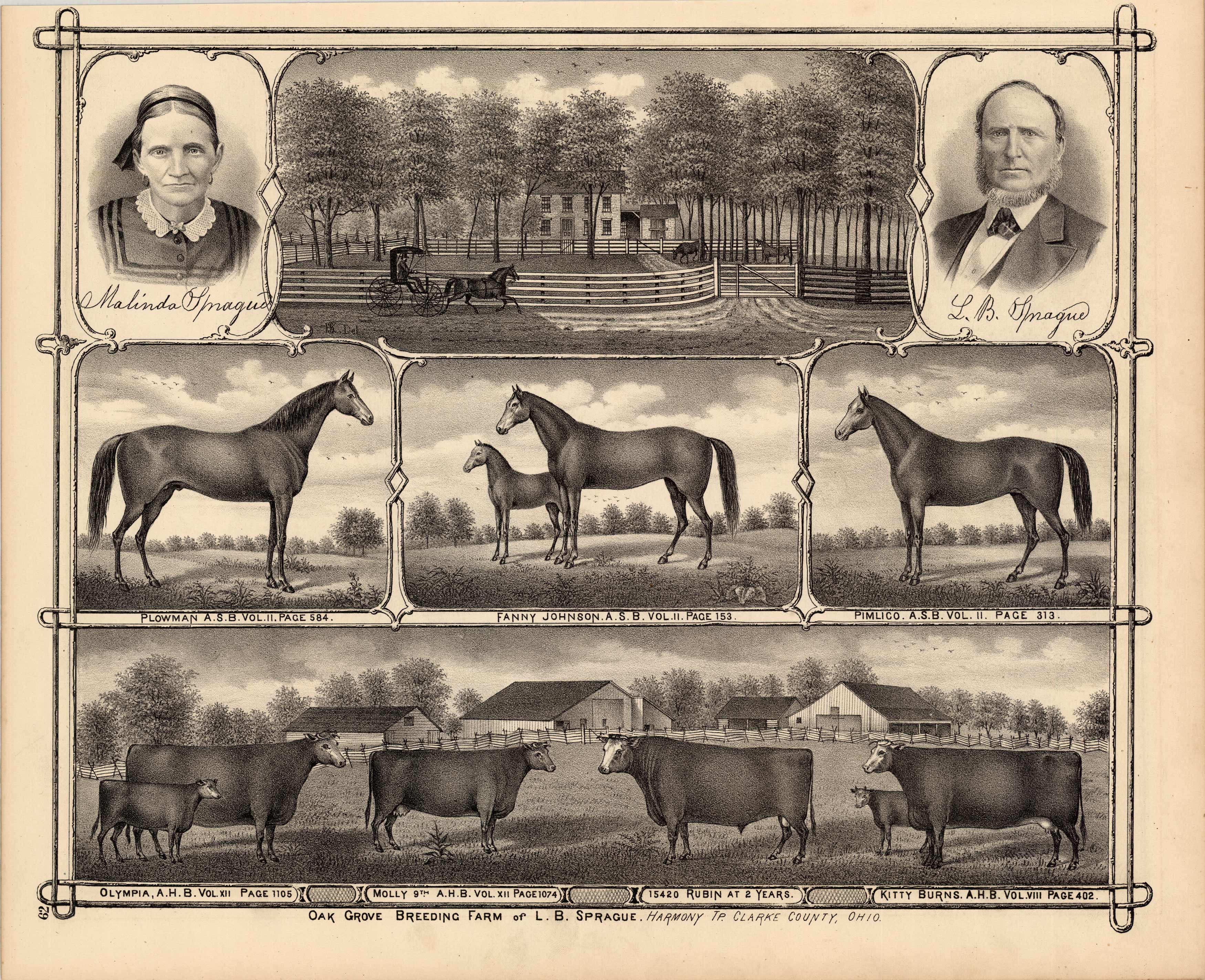 Oak Grove Breeding Farm of L.B. Sprague