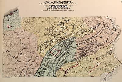 Map of Pennsylvania Colored to Illustrate the Distribution of its Flora