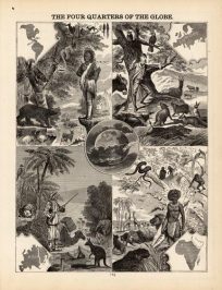 Pictures of The Four Quarters of the Globe