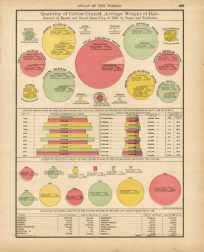Quantity of Cotton Ginned