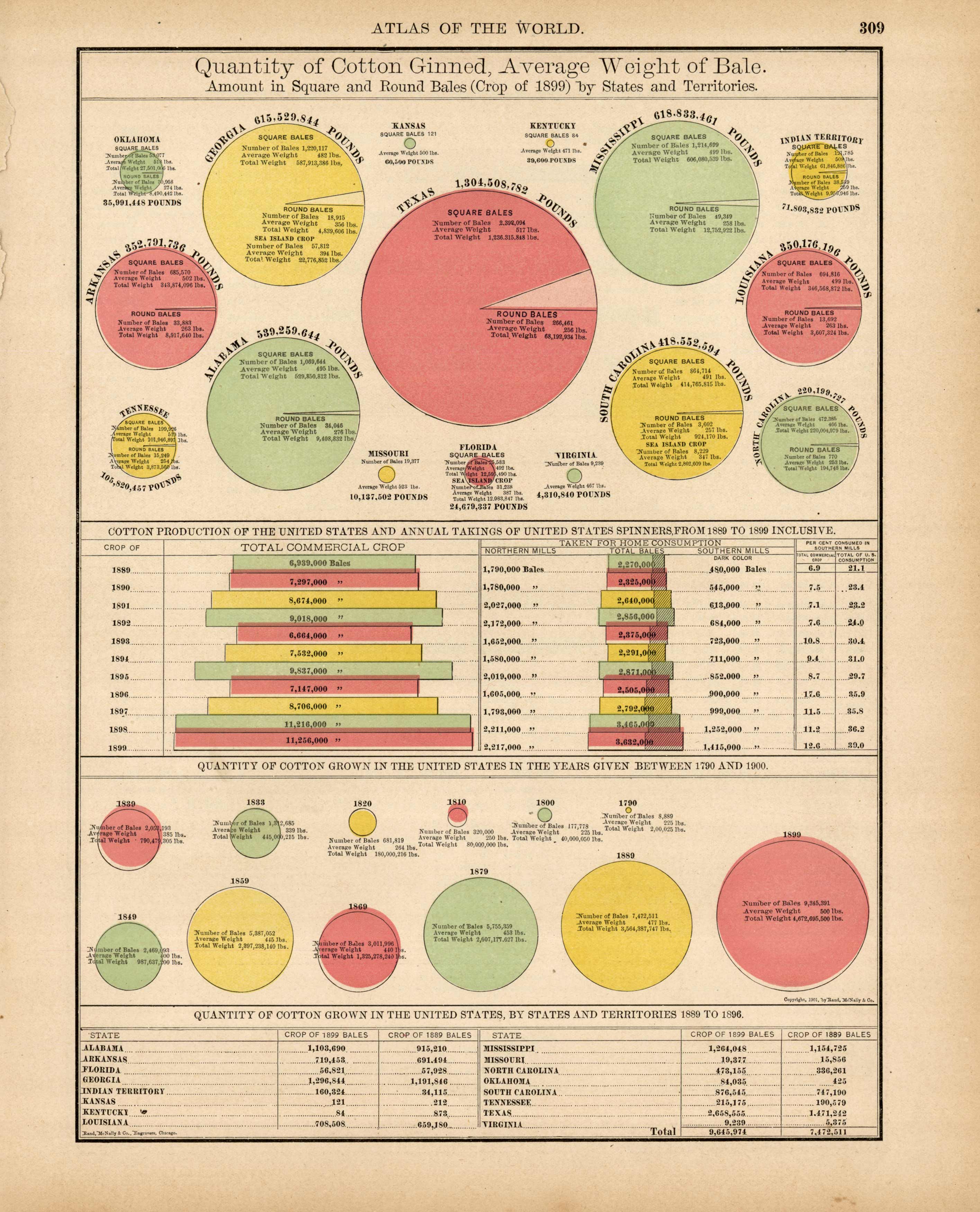 Quantity of Cotton Ginned