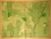 Rand McNally Standard Map of Arkansas