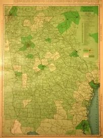 Rand McNally Standard Map of Georgia