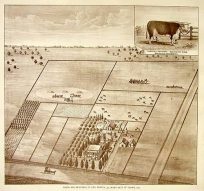 Birds Eye Views of Tulare County - Tulare City