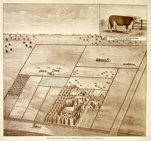 Birds Eye Views of Tulare County - Tulare City