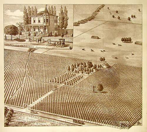 Birds Eye Views of Tulare County - Hanford