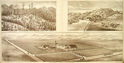 Birds Eye Views of Tulare County - Frazier Valley