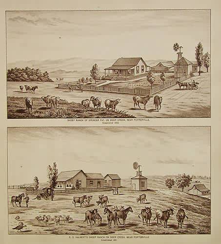 Birds Eye Views of Tulare County - Deer Creek