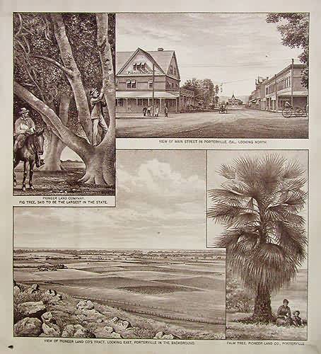 Birds Eye Views of Tulare County - Porterville