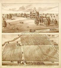 Birds Eye Views of Tulare County - Visalia