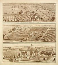 Birds Eye Views of Tulare County - Grangeville