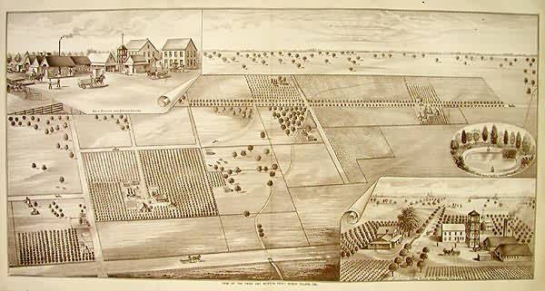 Birds Eye Views of Tulare County - Fruit Ranch