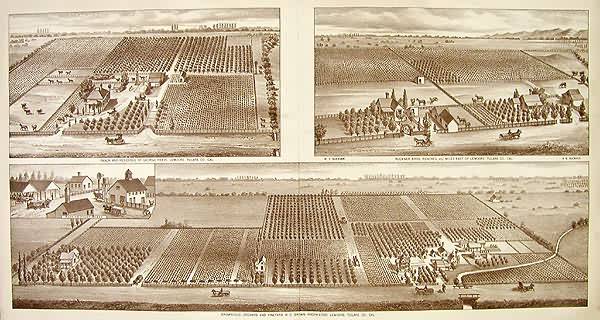 Birds Eye Views of Tulare County - Lemore