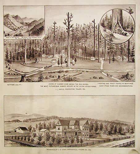 Birds Eye Views of Tulare County - Red Woods