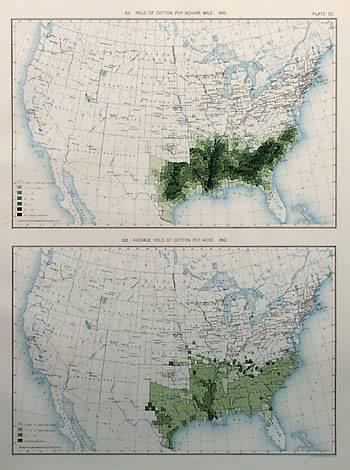 Yield of Cotton Per Square Mile and Average Yield of Cotton Per Acre Yield of Cotton Per Square Mile and Average Yield of Cotton Per Acre