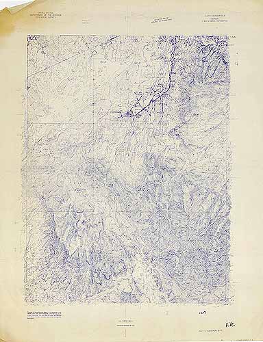 Lily Quadrangle Lily Quadrangle