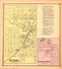 Bangor and Pine Grove Mills (Michigan)