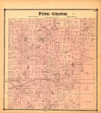 Pine Grove (Michigan)