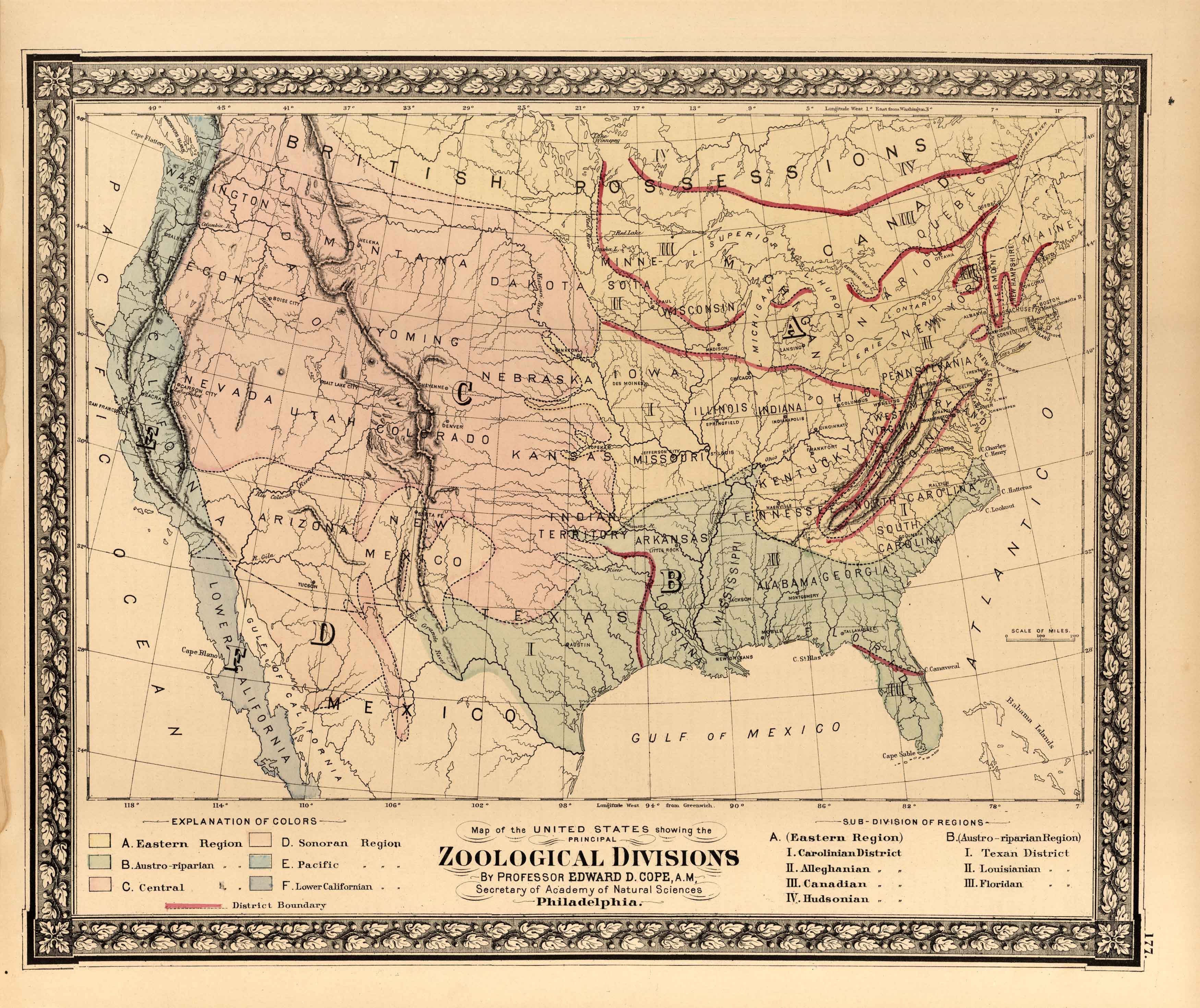 GRAY-1887-ZOOLOGICAL